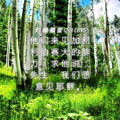 Picture 04 - 约 翰 福 音 12:21 CUVS - 他 们 来 见 加 利 利 伯 赛 大 的 腓 - Bible Verse Picture