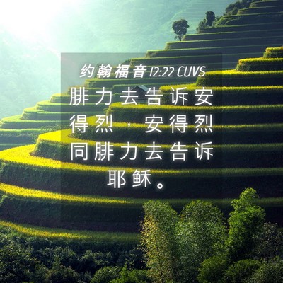 Picture 04 - 约 翰 福 音 12:22 CUVS - 腓 力 去 告 诉 安 得 烈 ， 安 得 烈 - Bible Verse Picture