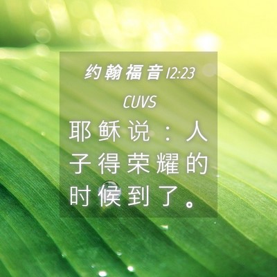 Picture 04 - 约 翰 福 音 12:23 CUVS - 耶 稣 说 ： 人 子 得 荣 耀 的 时 候 - Bible Verse Picture