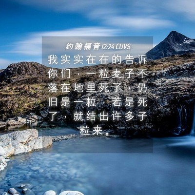 Picture 04 - 约 翰 福 音 12:24 CUVS - 我 实 实 在 在 的 告 诉 你 们 ， 一 - Bible Verse Picture