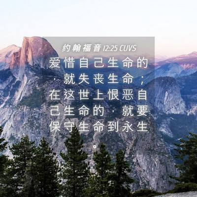 Picture 04 - 约 翰 福 音 12:25 CUVS - 爱 惜 自 己 生 命 的 ， 就 失 丧 生 - Bible Verse Picture