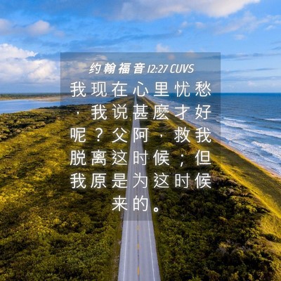 Picture 04 - 约 翰 福 音 12:27 CUVS - 我 现 在 心 里 忧 愁 ， 我 说 甚 麽 - Bible Verse Picture