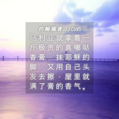 Picture 04 - 约 翰 福 音 12:3 CUVS - 马 利 亚 就 拿 着 一 斤 极 贵 的 真 - Bible Verse Picture