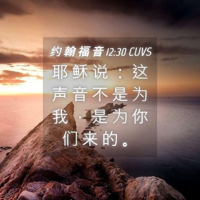 Picture 04 - 约 翰 福 音 12:30 CUVS - 耶 稣 说 ： 这 声 音 不 是 为 我 ， - Bible Verse Picture
