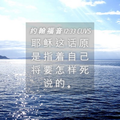 Picture 04 - 约 翰 福 音 12:33 CUVS - 耶 稣 这 话 原 是 指 着 自 己 将 要 - Bible Verse Picture