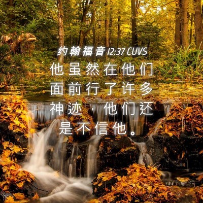 Picture 04 - 约 翰 福 音 12:37 CUVS - 他 虽 然 在 他 们 面 前 行 了 许 多 - Bible Verse Picture
