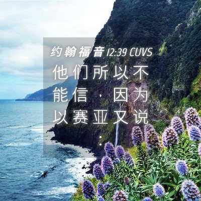 Picture 04 - 约 翰 福 音 12:39 CUVS - 他 们 所 以 不 能 信 ， 因 为 以 赛 - Bible Verse Picture