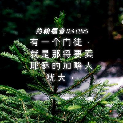 Picture 04 - 约 翰 福 音 12:4 CUVS - 有 一 个 门 徒 ， 就 是 那 将 要 卖 - Bible Verse Picture