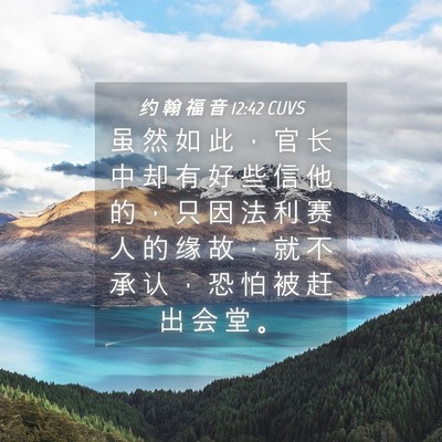 Picture 04 - 约 翰 福 音 12:42 CUVS - 虽 然 如 此 ， 官 长 中 却 有 好 些 - Bible Verse Picture