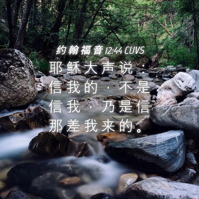Picture 04 - 约 翰 福 音 12:44 CUVS - 耶 稣 大 声 说 ： 信 我 的 ， 不 是 - Bible Verse Picture
