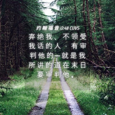 Picture 04 - 约 翰 福 音 12:48 CUVS - 弃 绝 我 、 不 领 受 我 话 的 人 ， - Bible Verse Picture