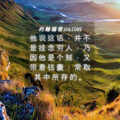 Picture 04 - 约 翰 福 音 12:6 CUVS - 他 说 这 话 ， 并 不 是 挂 念 穷 人 - Bible Verse Picture