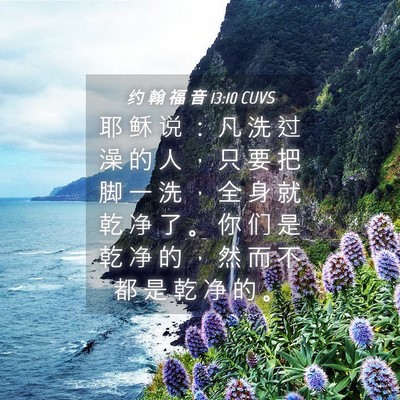 Picture 04 - 约 翰 福 音 13:10 CUVS - 耶 稣 说 ： 凡 洗 过 澡 的 人 ， 只 - Bible Verse Picture