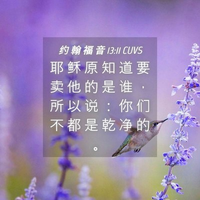 Picture 04 - 约 翰 福 音 13:11 CUVS - 耶 稣 原 知 道 要 卖 他 的 是 谁 ， - Bible Verse Picture