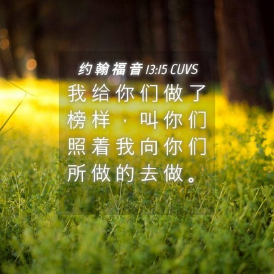 Picture 04 - 约 翰 福 音 13:15 CUVS - 我 给 你 们 做 了 榜 样 ， 叫 你 们 - Bible Verse Picture