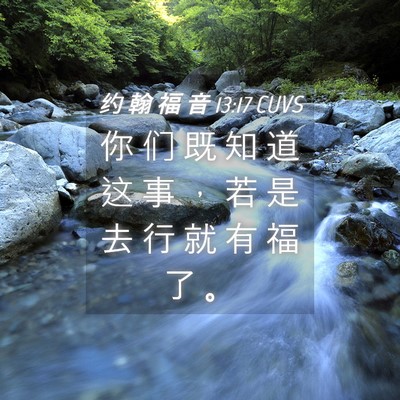 Picture 04 - 约 翰 福 音 13:17 CUVS - 你 们 既 知 道 这 事 ， 若 是 去 行 - Bible Verse Picture