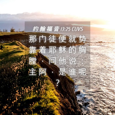Picture 04 - 约 翰 福 音 13:25 CUVS - 那 门 徒 便 就 势 靠 着 耶 稣 的 胸 - Bible Verse Picture