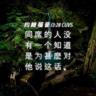 Picture 04 - 约 翰 福 音 13:28 CUVS - 同 席 的 人 没 有 一 个 知 道 是 为 - Bible Verse Picture