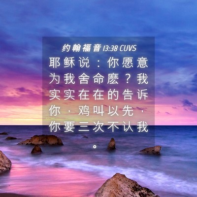 Picture 04 - 约 翰 福 音 13:38 CUVS - 耶 稣 说 ： 你 愿 意 为 我 舍 命 麽 - Bible Verse Picture