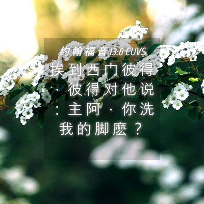 Picture 04 - 约 翰 福 音 13:6 CUVS - 挨 到 西 门 彼 得 ， 彼 得 对 他 说 - Bible Verse Picture