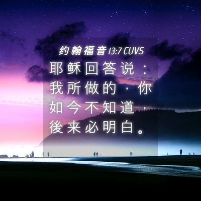 Picture 04 - 约 翰 福 音 13:7 CUVS - 耶 稣 回 答 说 ： 我 所 做 的 ， 你 - Bible Verse Picture