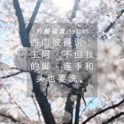 Picture 04 - 约 翰 福 音 13:9 CUVS - 西 门 彼 得 说 ： 主 阿 ， 不 但 我 - Bible Verse Picture