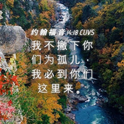 Picture 04 - 约 翰 福 音 14:18 CUVS - 我 不 撇 下 你 们 为 孤 儿 ， 我 必 - Bible Verse Picture