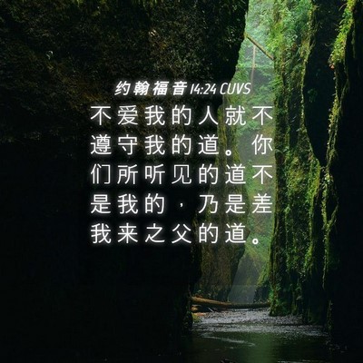 Picture 04 - 约 翰 福 音 14:24 CUVS - 不 爱 我 的 人 就 不 遵 守 我 的 道 - Bible Verse Picture