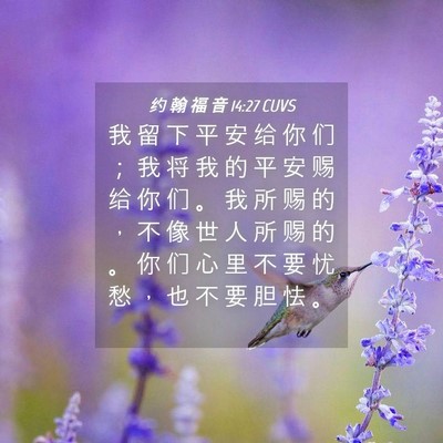 Picture 04 - 约 翰 福 音 14:27 CUVS - 我 留 下 平 安 给 你 们 ； 我 将 我 - Bible Verse Picture