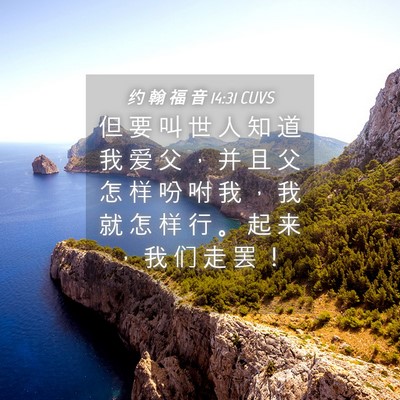 Picture 04 - 约 翰 福 音 14:31 CUVS - 但 要 叫 世 人 知 道 我 爱 父 ， 并 - Bible Verse Picture