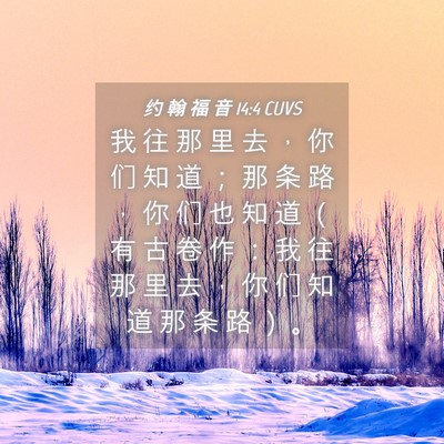 Picture 04 - 约 翰 福 音 14:4 CUVS - 我 往 那 里 去 ， 你 们 知 道 ； 那 - Bible Verse Picture
