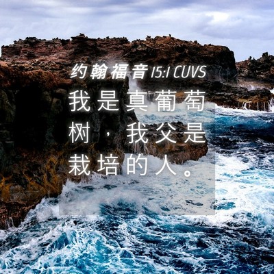 Picture 04 - 约 翰 福 音 15:1 CUVS - 我 是 真 葡 萄 树 ， 我 父 是 栽 培 - Bible Verse Picture