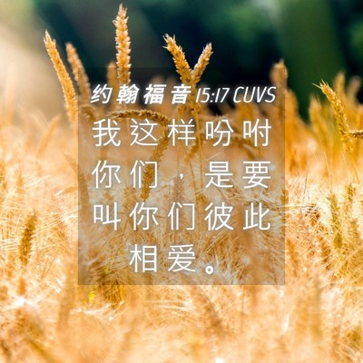 Picture 04 - 约 翰 福 音 15:17 CUVS - 我 这 样 吩 咐 你 们 ， 是 要 叫 你 - Bible Verse Picture