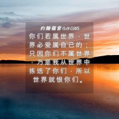Picture 04 - 约 翰 福 音 15:19 CUVS - 你 们 若 属 世 界 ， 世 界 必 爱 属 - Bible Verse Picture
