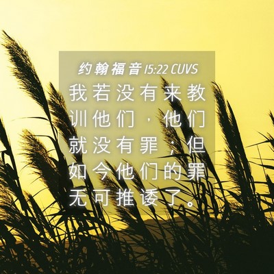 Picture 04 - 约 翰 福 音 15:22 CUVS - 我 若 没 有 来 教 训 他 们 ， 他 们 - Bible Verse Picture