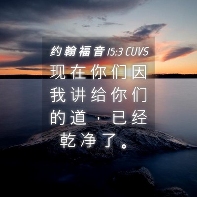 Picture 04 - 约 翰 福 音 15:3 CUVS - 现 在 你 们 因 我 讲 给 你 们 的 道 - Bible Verse Picture