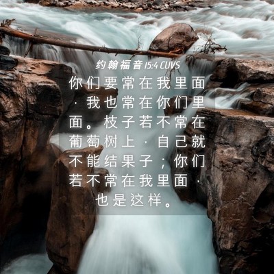 Picture 04 - 约 翰 福 音 15:4 CUVS - 你 们 要 常 在 我 里 面 ， 我 也 常 - Bible Verse Picture