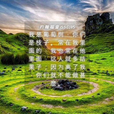 Picture 04 - 约 翰 福 音 15:5 CUVS - 我 是 葡 萄 树 ， 你 们 是 枝 子 。 - Bible Verse Picture