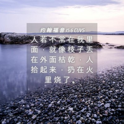 Picture 04 - 约 翰 福 音 15:6 CUVS - 人 若 不 常 在 我 里 面 ， 就 像 枝 - Bible Verse Picture
