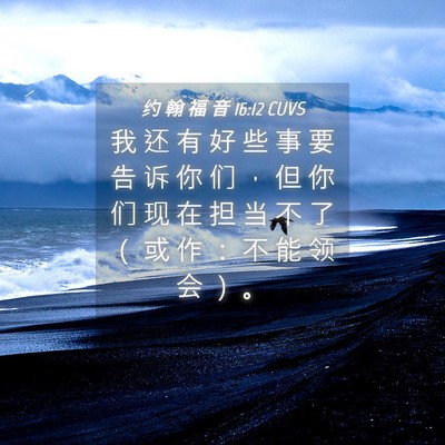 Picture 04 - 约 翰 福 音 16:12 CUVS - 我 还 有 好 些 事 要 告 诉 你 们 ， - Bible Verse Picture