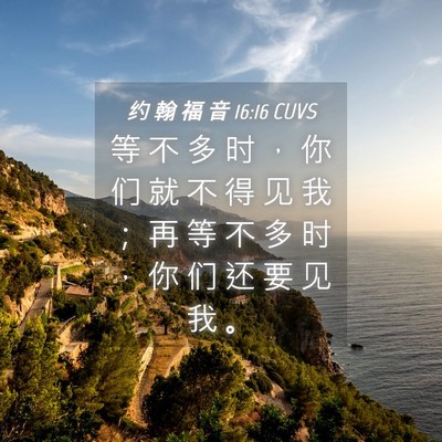 Picture 04 - 约 翰 福 音 16:16 CUVS - 等 不 多 时 ， 你 们 就 不 得 见 我 - Bible Verse Picture
