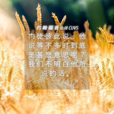 Picture 04 - 约 翰 福 音 16:18 CUVS - 门 徒 彼 此 说 ： 他 说 等 不 多 时 - Bible Verse Picture