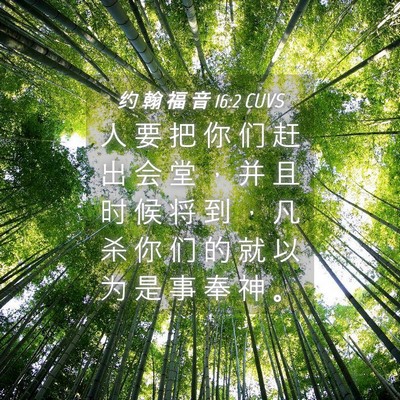 Picture 04 - 约 翰 福 音 16:2 CUVS - 人 要 把 你 们 赶 出 会 堂 ， 并 且 - Bible Verse Picture