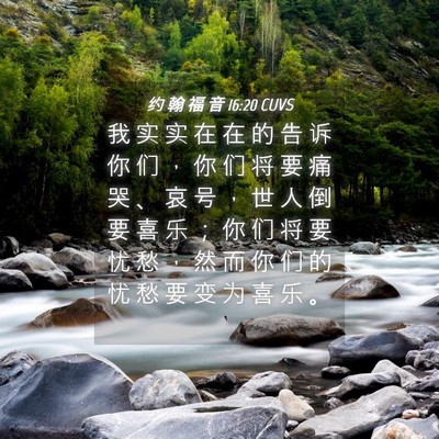 Picture 04 - 约 翰 福 音 16:20 CUVS - 我 实 实 在 在 的 告 诉 你 们 ， 你 - Bible Verse Picture