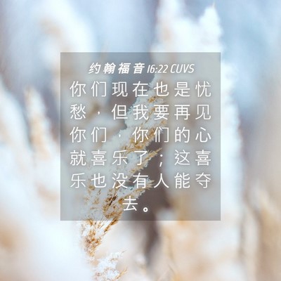 Picture 04 - 约 翰 福 音 16:22 CUVS - 你 们 现 在 也 是 忧 愁 ， 但 我 要 - Bible Verse Picture