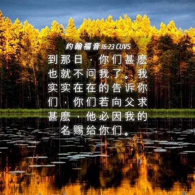 Picture 04 - 约 翰 福 音 16:23 CUVS - 到 那 日 ， 你 们 甚 麽 也 就 不 问 - Bible Verse Picture