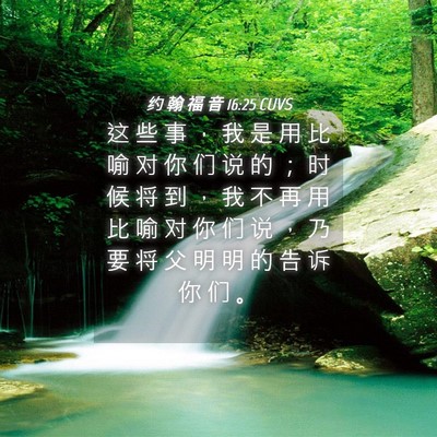 Picture 04 - 约 翰 福 音 16:25 CUVS - 这 些 事 ， 我 是 用 比 喻 对 你 们 - Bible Verse Picture