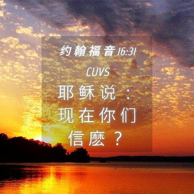 Picture 04 - 约 翰 福 音 16:31 CUVS - 耶 稣 说 ： 现 在 你 们 信 麽 - Bible Verse Picture