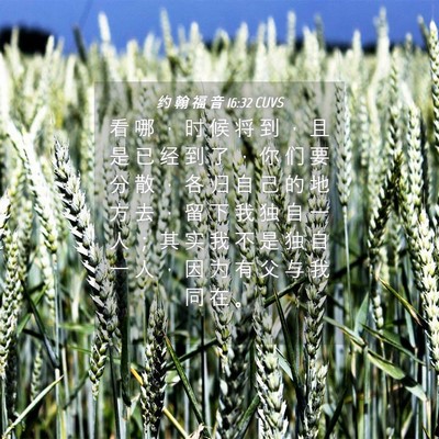 Picture 04 - 约 翰 福 音 16:32 CUVS - 看 哪 ， 时 候 将 到 ， 且 是 已 经 - Bible Verse Picture