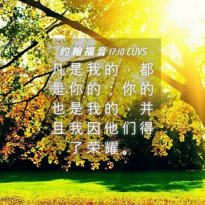 Picture 04 - 约 翰 福 音 17:10 CUVS - 凡 是 我 的 ， 都 是 你 的 ； 你 的 - Bible Verse Picture